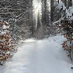 U Dvoraku Янське Лазне