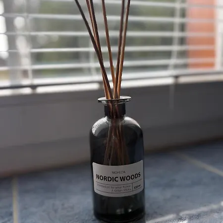 Lejlighed U Dvoraku *