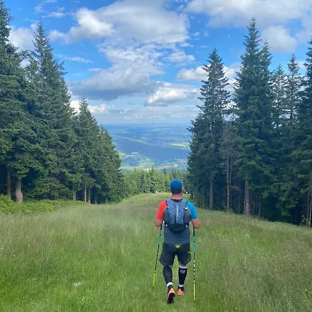 Lejlighed U Dvoraku *