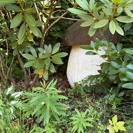 Lejlighed U Dvoraku Janské Lázně