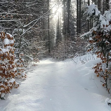 U Dvoraku Janské Lázně