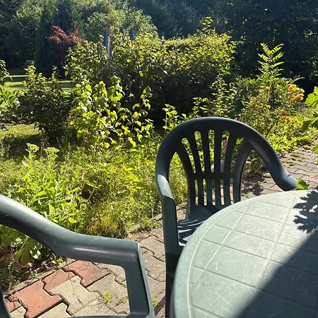 U Dvoraku Lejlighed *