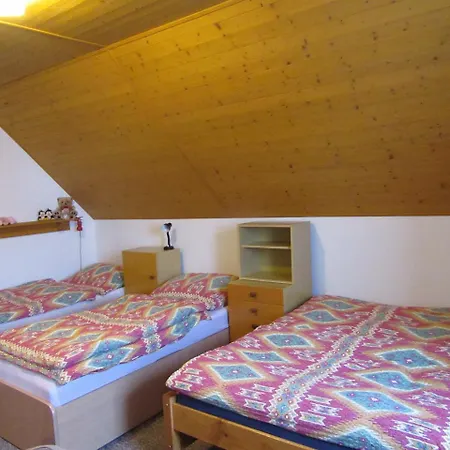 Apartmany U Dvoraku Apartment